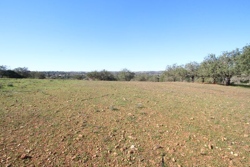 Lote de Terreno com 7 000 m²  em Loulé