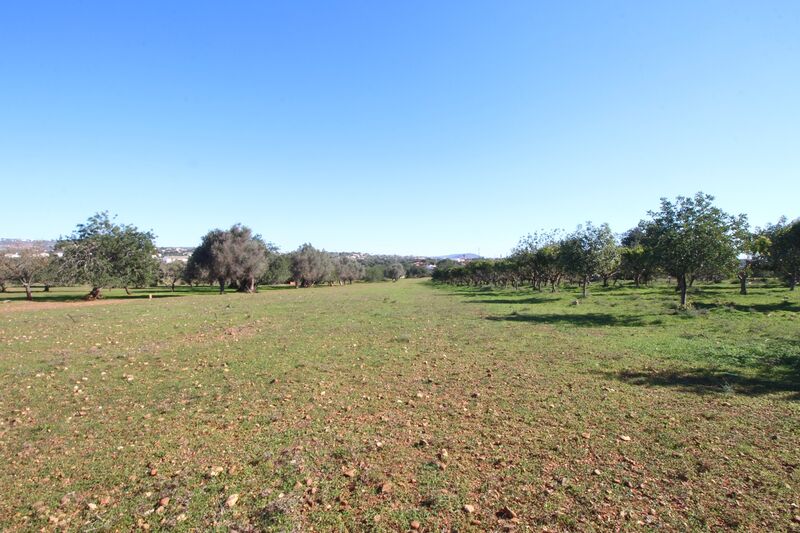 Lote de Terreno com 7 000 m²  em Loulé