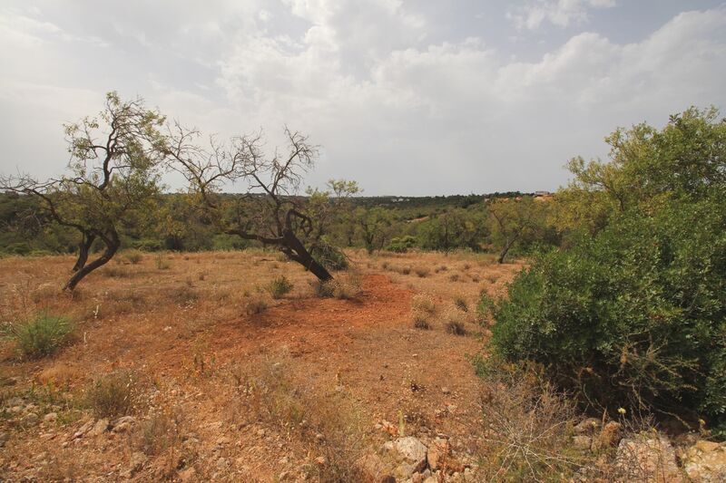 2 bedroom21 880 m²  Land plot in Albufeira