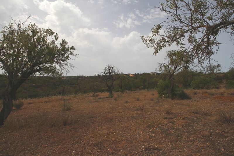 2 bedroom21 880 m²  Land plot in Albufeira