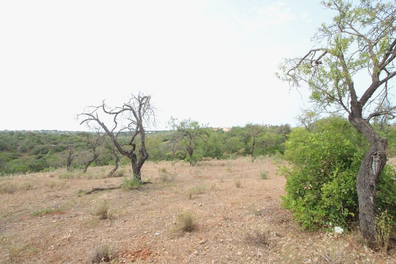 2 bedroom21 880 m²  Land plot in Albufeira