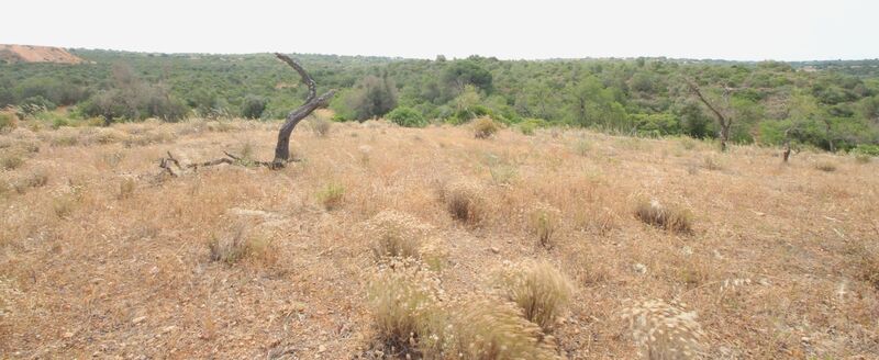 2 bedroom21 880 m²  Land plot in Albufeira