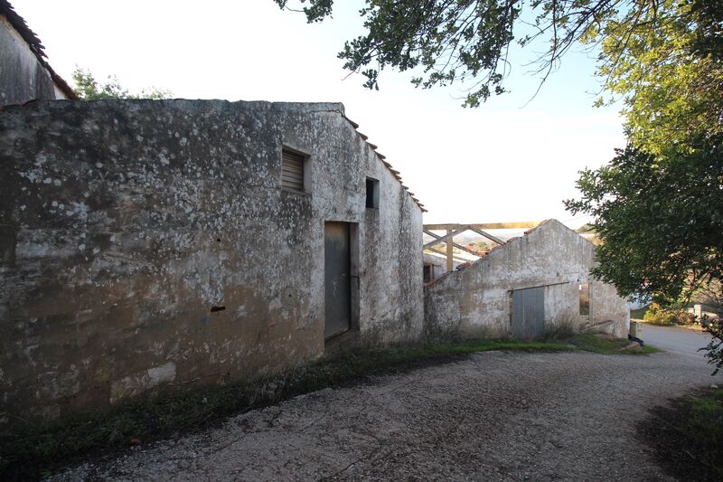 Comércio em Silves