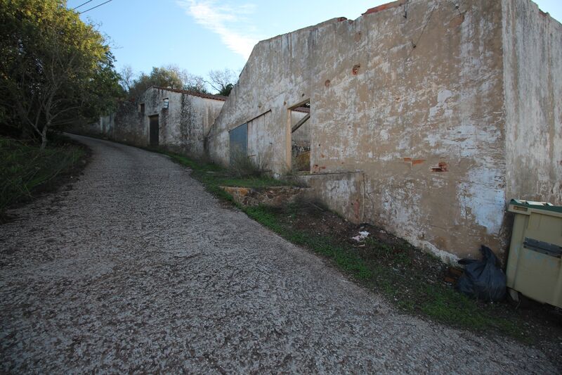 Comércio em Silves