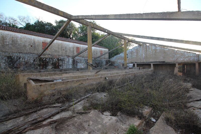 Comércio em Silves