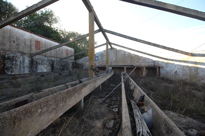 Comércio em Silves