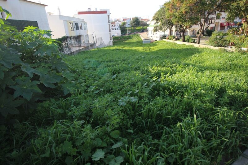 1 500 m²  Land plot with swimming pool in Albufeira