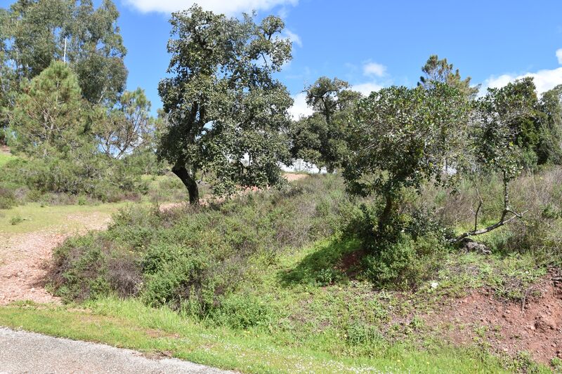 Land Agricultural with 4940sqm Monte Curral Alte Loulé - water, easy access, electricity, cork oaks