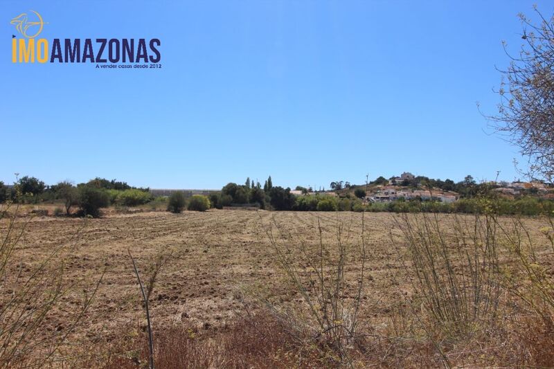 Land Rustic with 6440sqm Algoz Silves - good access, well, electricity, tank