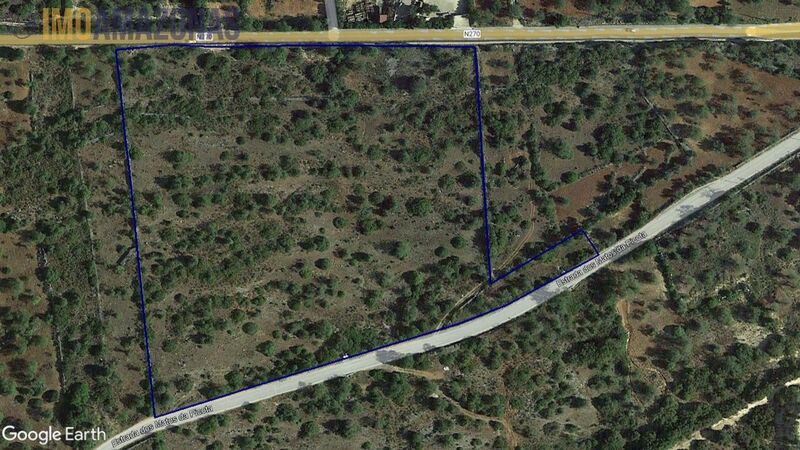 Land with 33000sqm São Sebastião Loulé