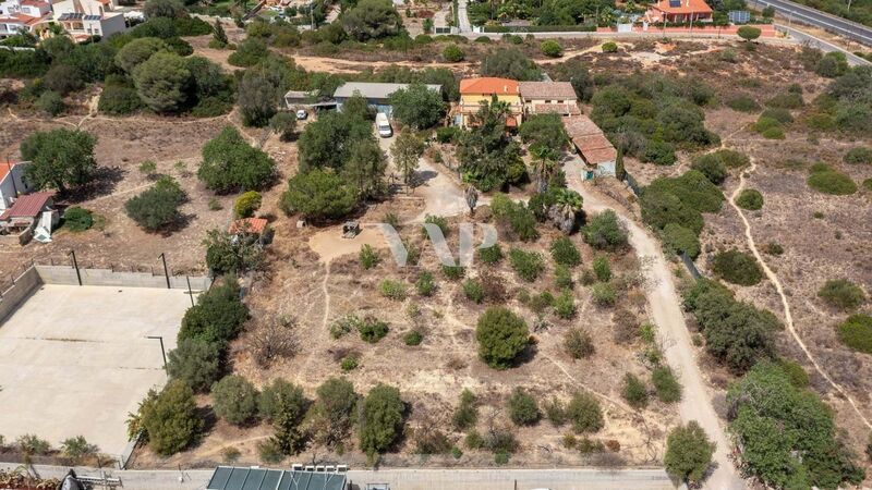 Land with 4835sqm Almancil Loulé