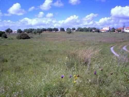 Land Rustic with 5840sqm Ferreiras Albufeira - easy access