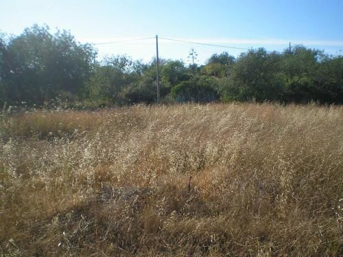 Land with 2.08sqm Olhão - excellent access