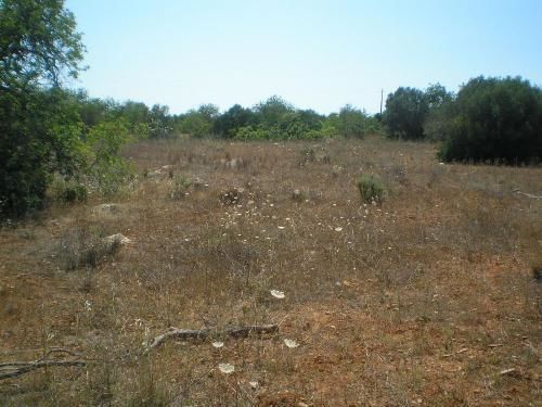 Land Rustic with 4.76sqm Faro - easy access