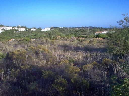 Land Rustic with 1560sqm Quelfes Olhão - easy access