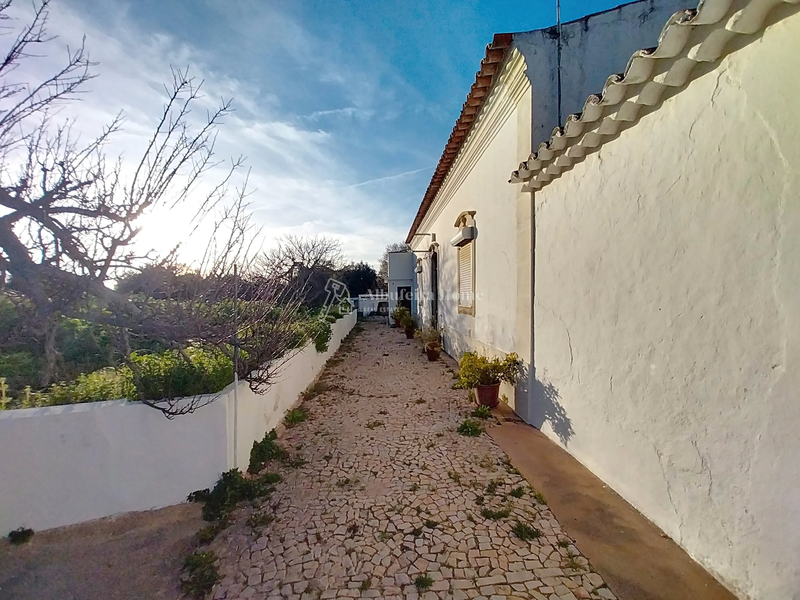 Farm V3 Vale Judeu Boliqueime Loulé - water hole, orange trees, mains water, water, olive trees, attic, fruit trees