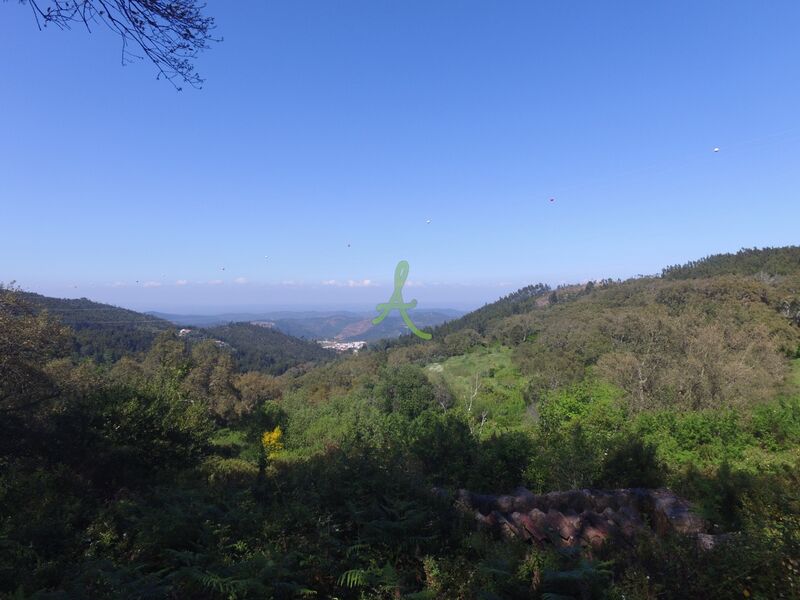 земля смешаный c 6120m2 Alferce Monchique - sobreiros, завораживающие панорамы, фруктовые деревья