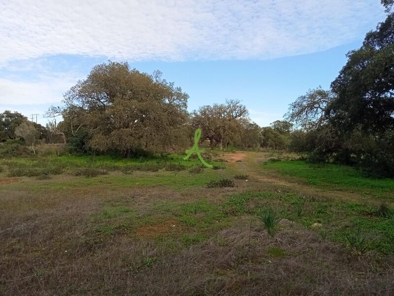 Land with 800sqm Silves - ,