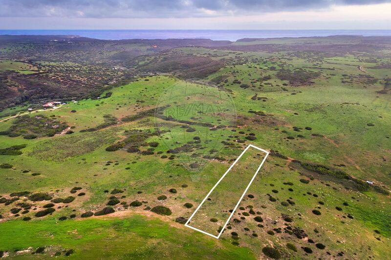 Terreno Rústico com 3250m2 Vila do Bispo - luz, vista mar