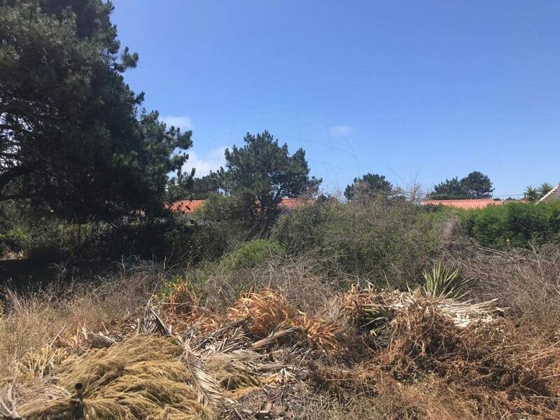 Land with 880sqm Aljezur