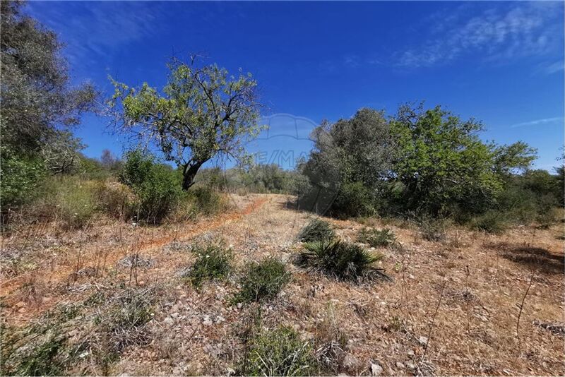 Land with 6280sqm Silves - electricity, water, well