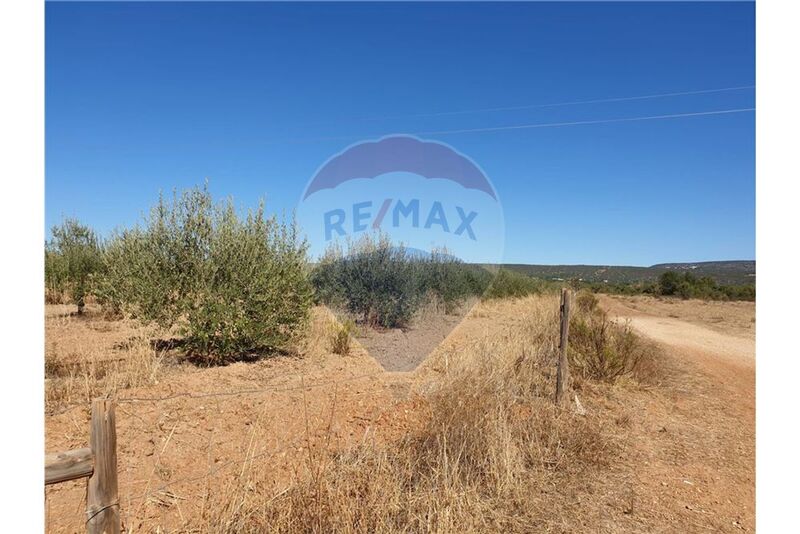 Land Rustic with 8360sqm Paderne Albufeira - olive trees, water, electricity