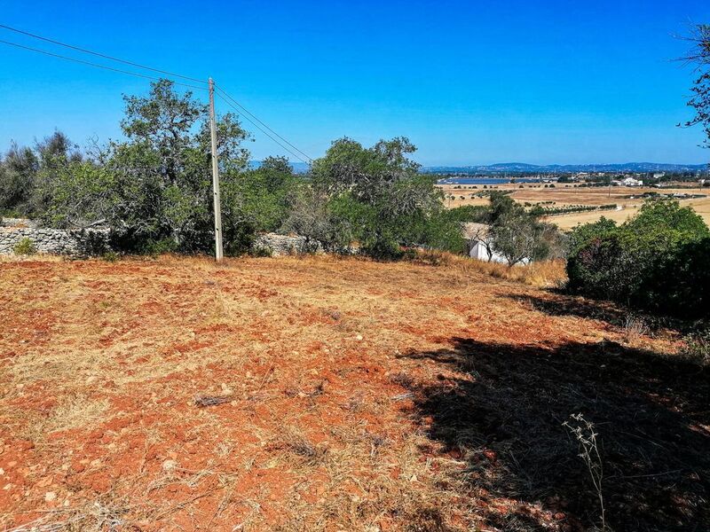 Terreno Rústico com 4000m2 Silves - vista mar, electricidade