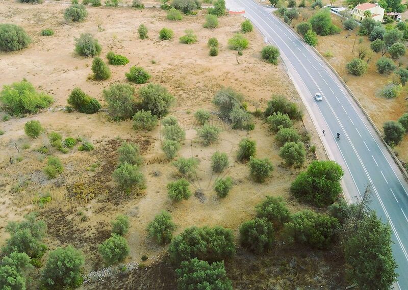 Land Rustic flat Boliqueime Loulé