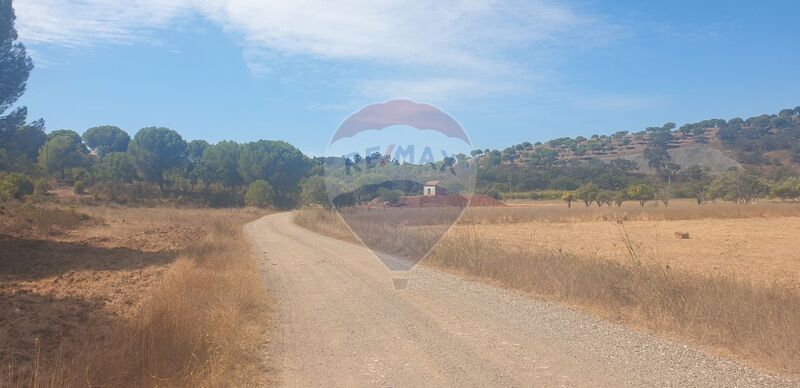 Land Urban with 9160sqm São Bartolomeu de Messines Silves - water, water hole, great location, irrigated land, electricity, water hole