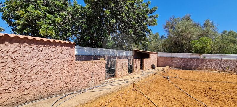 Land Agricultural with 9426sqm Boliqueime Loulé - garage, olive trees, water hole, electricity, tank, water, good access, orange trees
