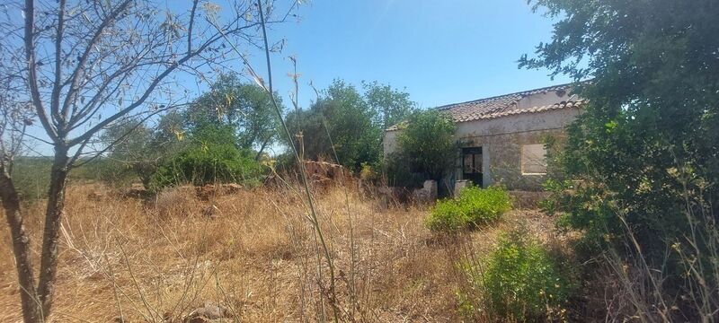 Ruína V3 Térrea São Bartolomeu de Messines Silves - jardim, terraço