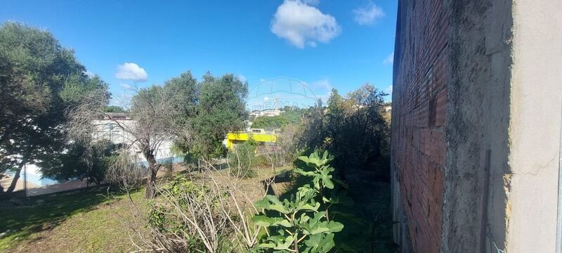 Land Agricultural with 1500sqm Salir Loulé - nice location, fruit trees