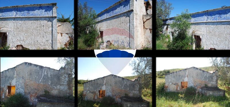 Land with 19800sqm São Clemente Loulé - olive trees, water, electricity, sea view, fruit trees