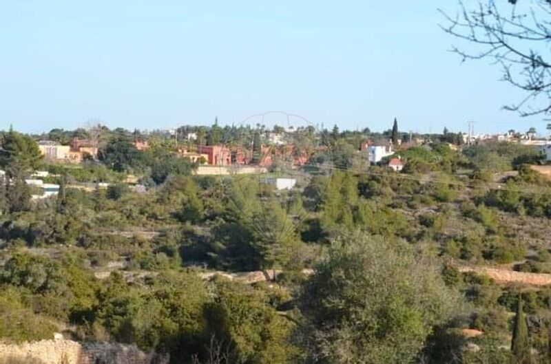 Land with 33000sqm Lagoa (Algarve) - olive trees, arable crop, electricity, garage