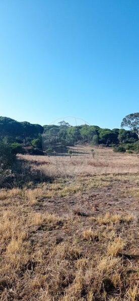 Land Rustic with 12000sqm Paderne Albufeira - water, electricity