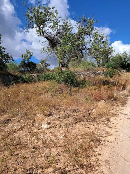 Land Rustic with 14880sqm Paderne Albufeira