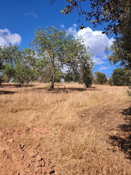 Land with 2800sqm Paderne Albufeira