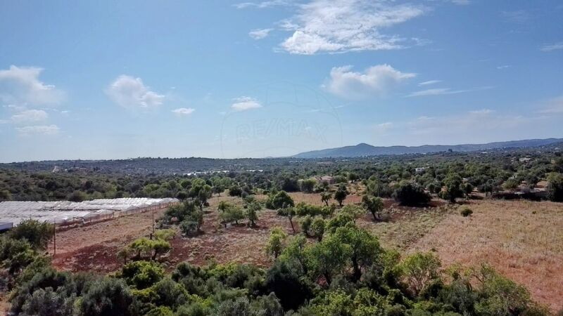 Land Agricultural with 4590sqm Faro - water, electricity