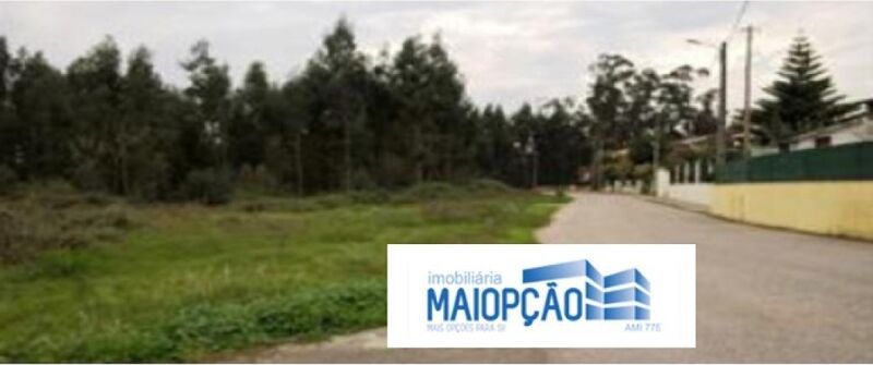 Land with 8090sqm Angeja Albergaria-a-Velha