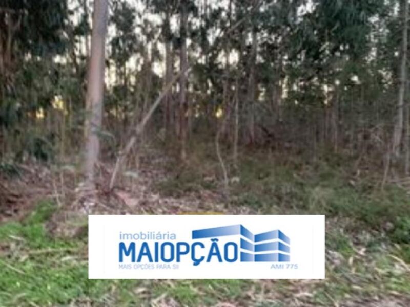 Land Rustic with 36sqm Vilarinho do Bairro Anadia