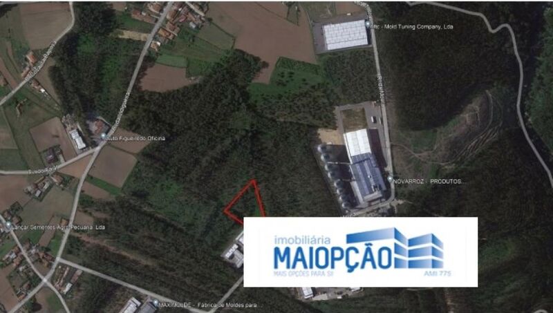 Land with 6900sqm Loureiro Oliveira de Azeméis