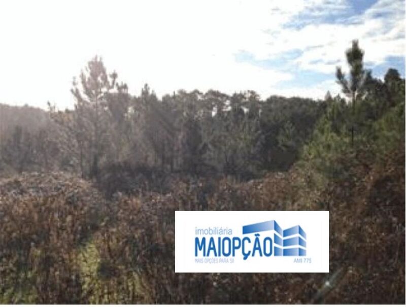 Land with 16000sqm Maceira Leiria