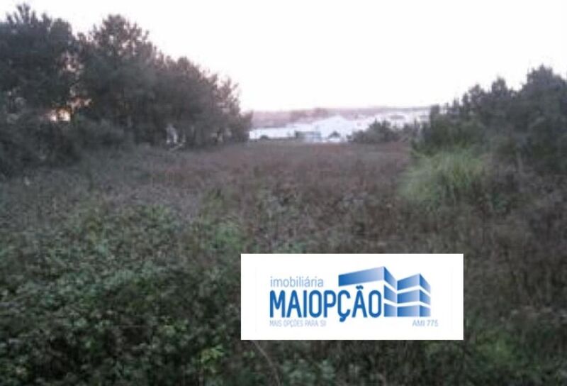 Lote de terreno com 77m2 Marinha Grande