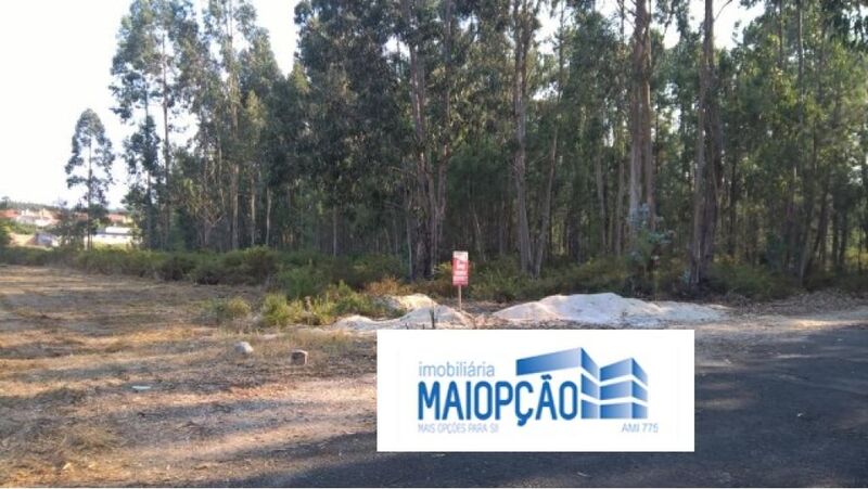 Land with 4750sqm Marinha Grande