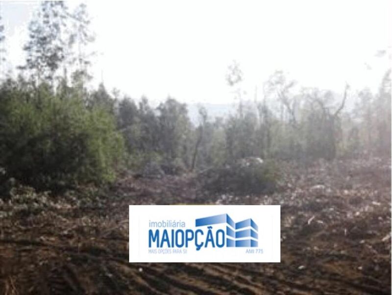 Land with 6400sqm Monte Córdova Santo Tirso - easy access