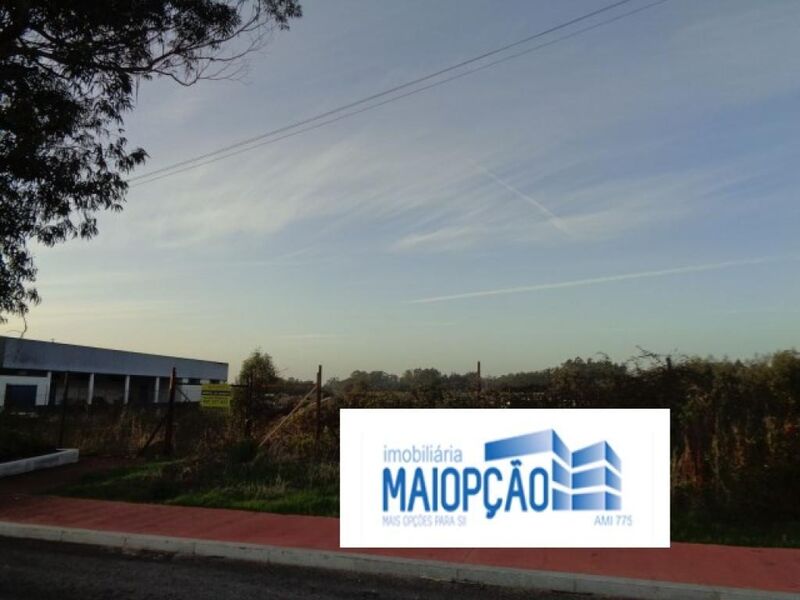 Land with 3500sqm Ovar