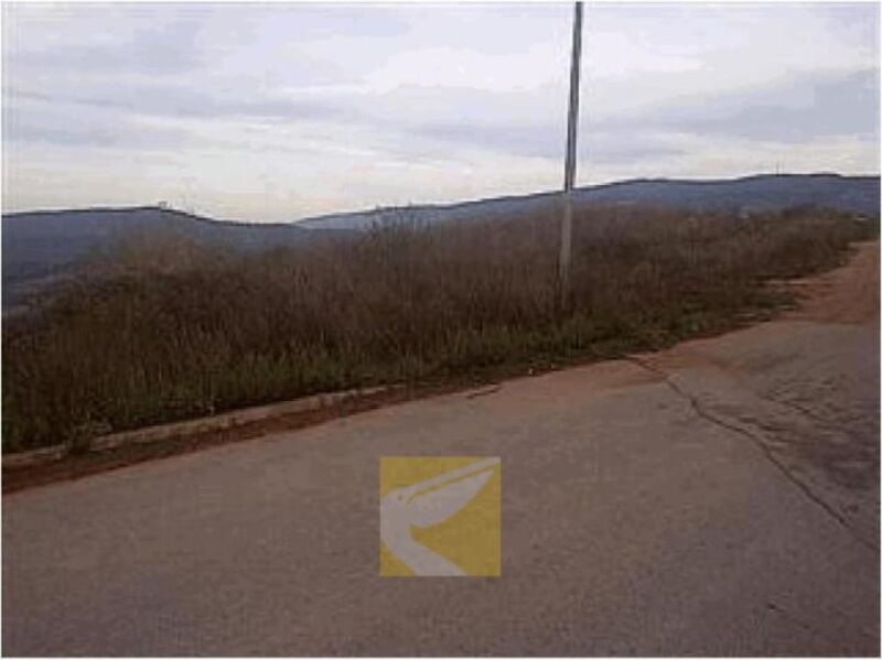 Land with 243481sqm Santo António dos Olivais Coimbra