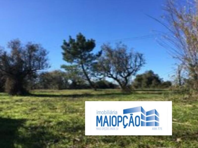 Land Rustic with 11450sqm Cantanhede