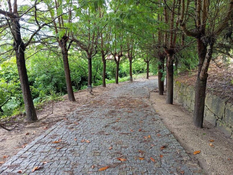 Quinta com casa Gondar Amarante - jardim, varandas, piscina