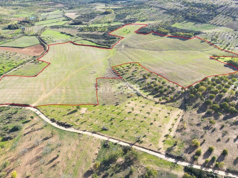 Land Agricultural with 120000sqm Bragança - excellent access